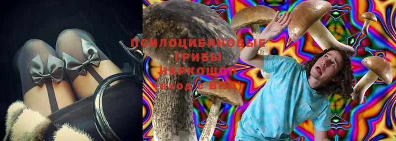 Галлюциногенные грибы Magic Shrooms  Ипатово 